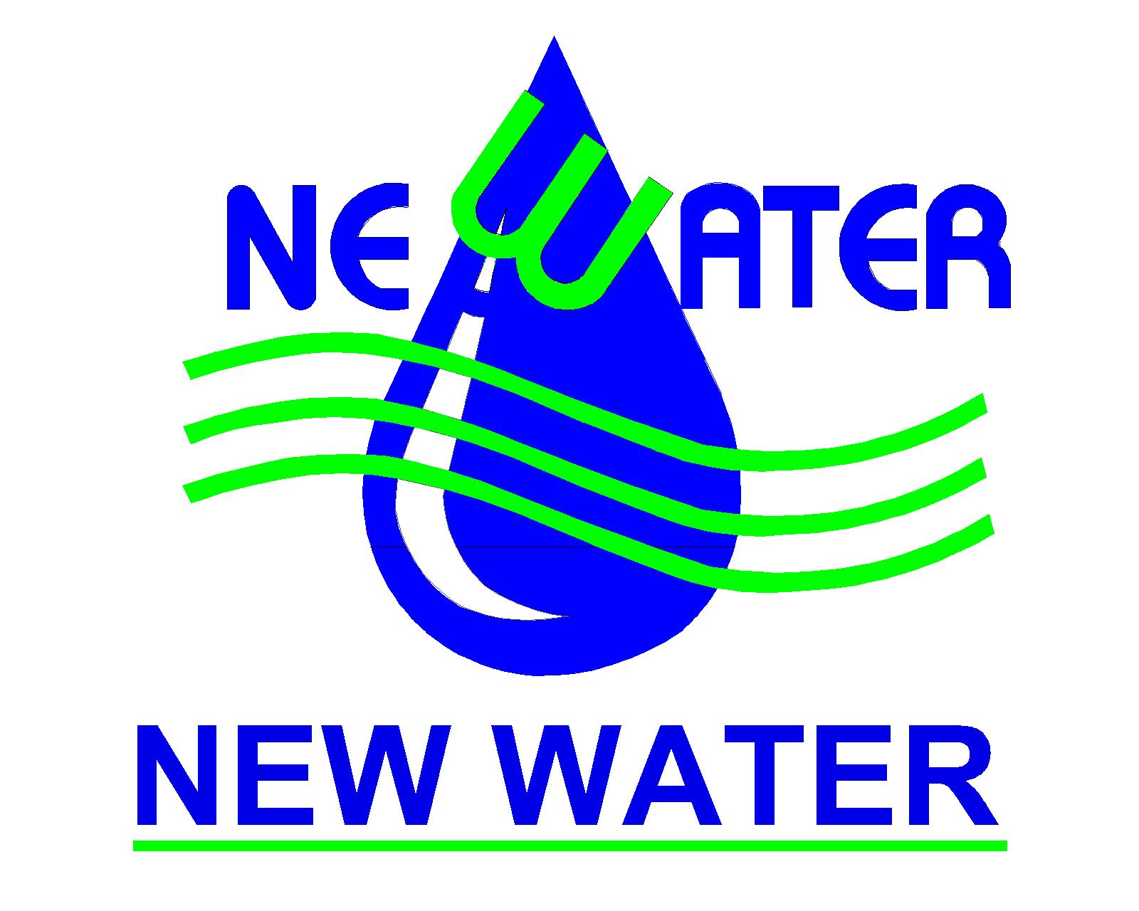 Amateur business logo before redesign